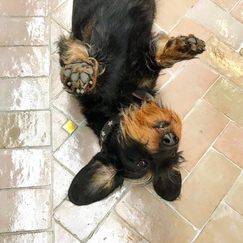 Marokańskie Płytki Platta Gris Rose 7,5x15 cm