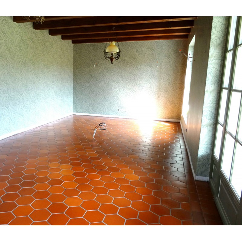 Terakota COTTO sześciokątna