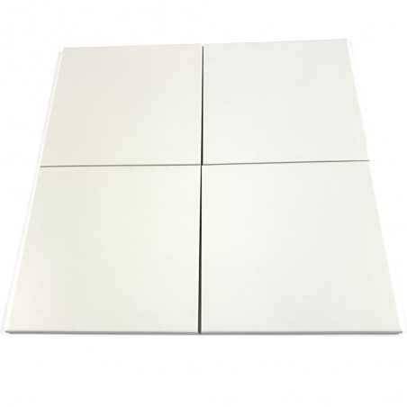 Gres Techniczny 20x20 - Biały 01