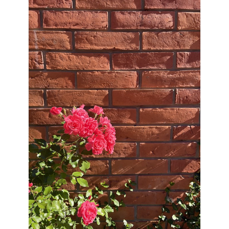 Płytki z cegły, licówki STARY MUR