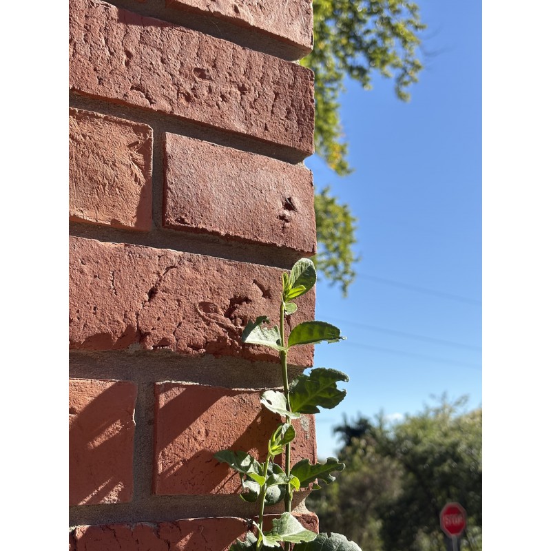 Płytka ceglana, licówka STARY MUR NAROŻNIK