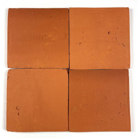 Terakota GOTYCKA 25x25